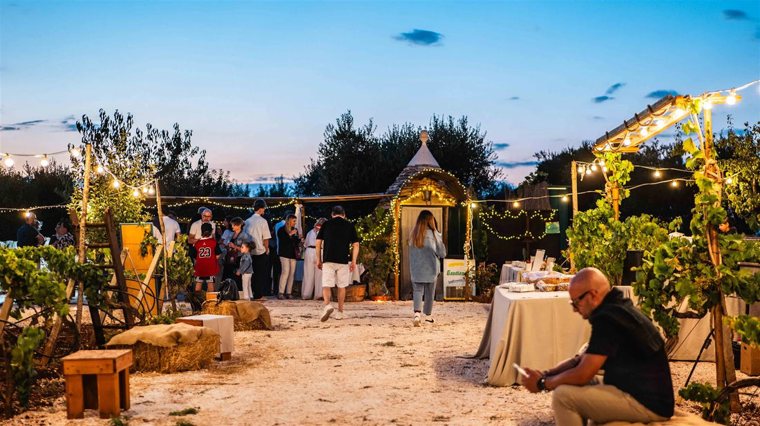 Degustazioni in vigna: vivere il vino dove nasce