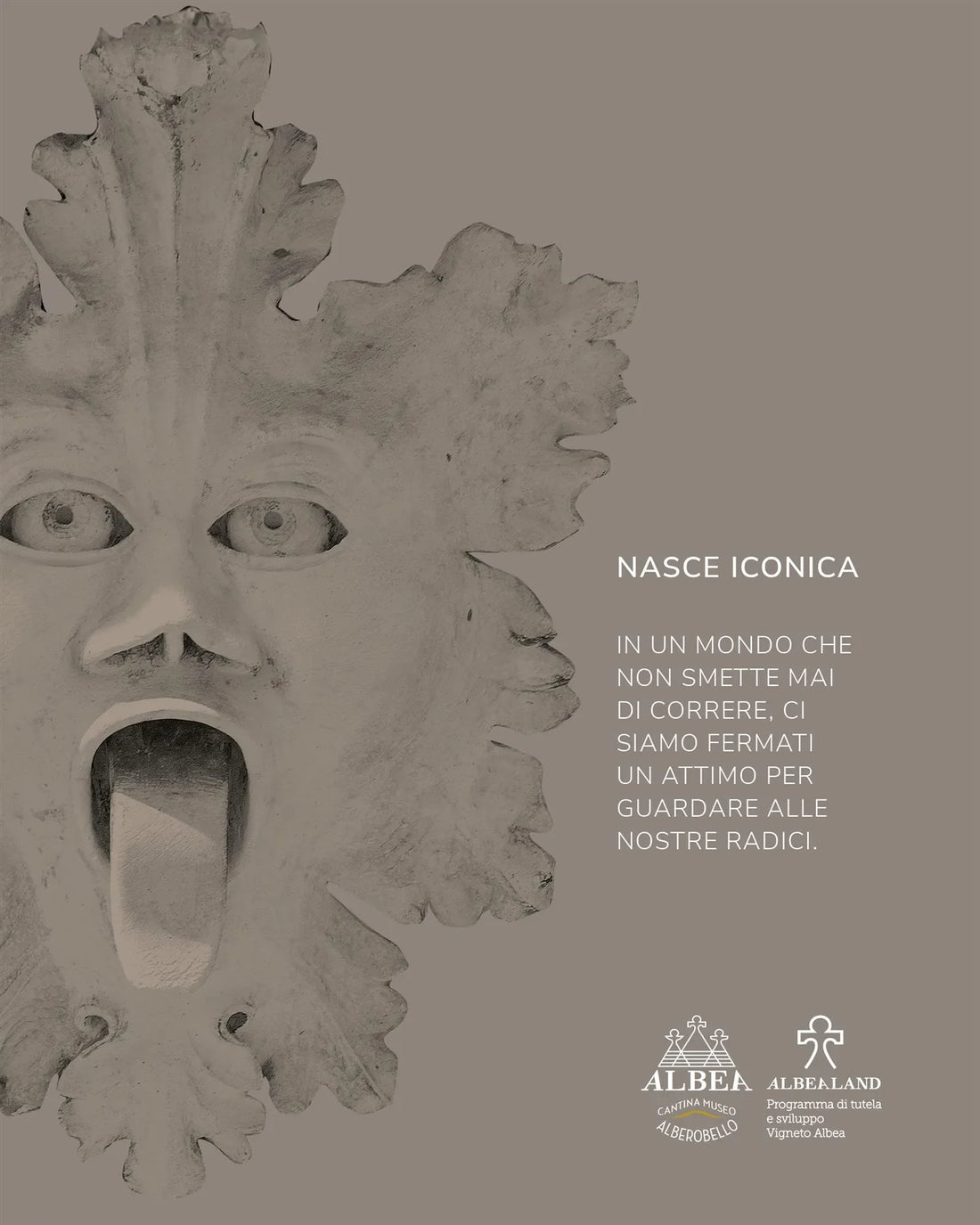 ICONICA: il volto della pietra, l'anima del vino