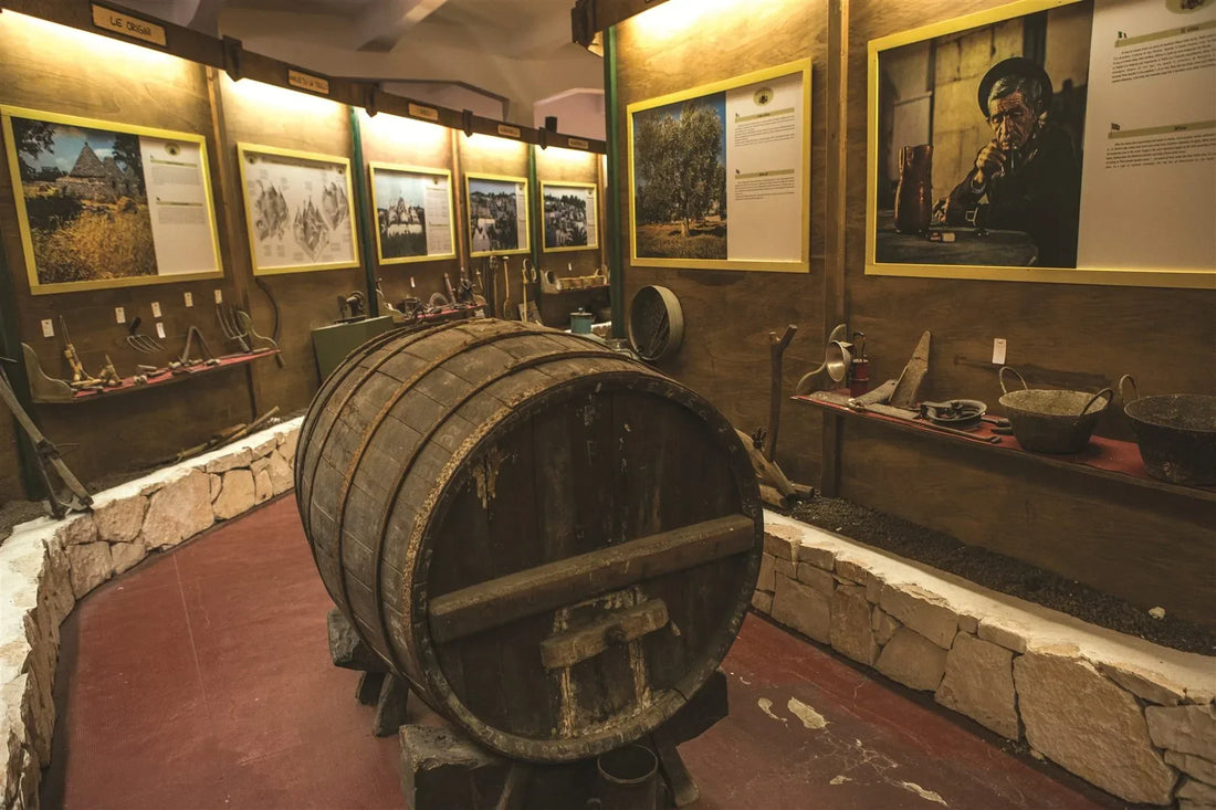 Museo del Vino Albea: visite guidate e degustazioni nel cuore di Alberobello