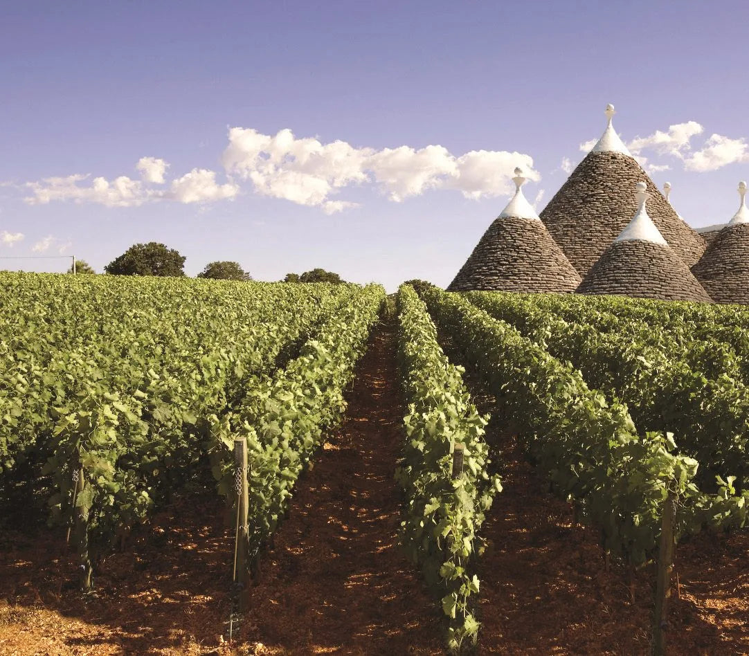 Quando il vino incontra la memoria