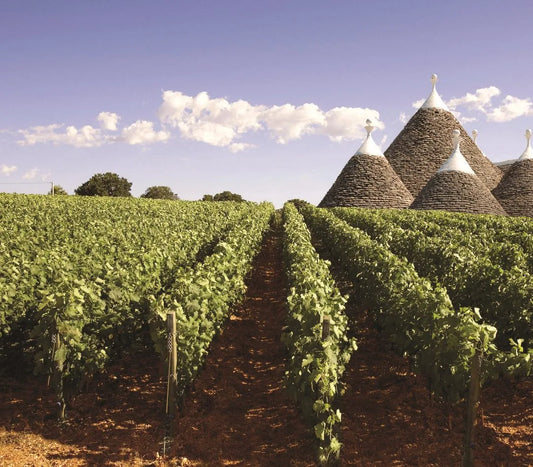 Quando il vino incontra la memoria