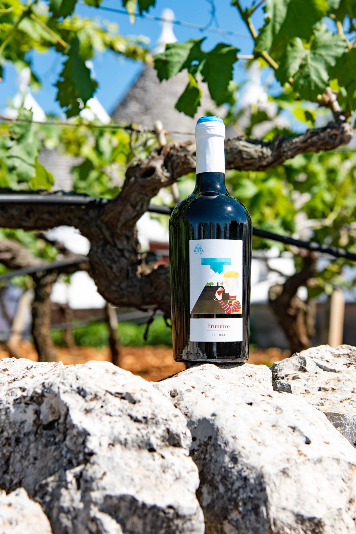 PRIMITIVO